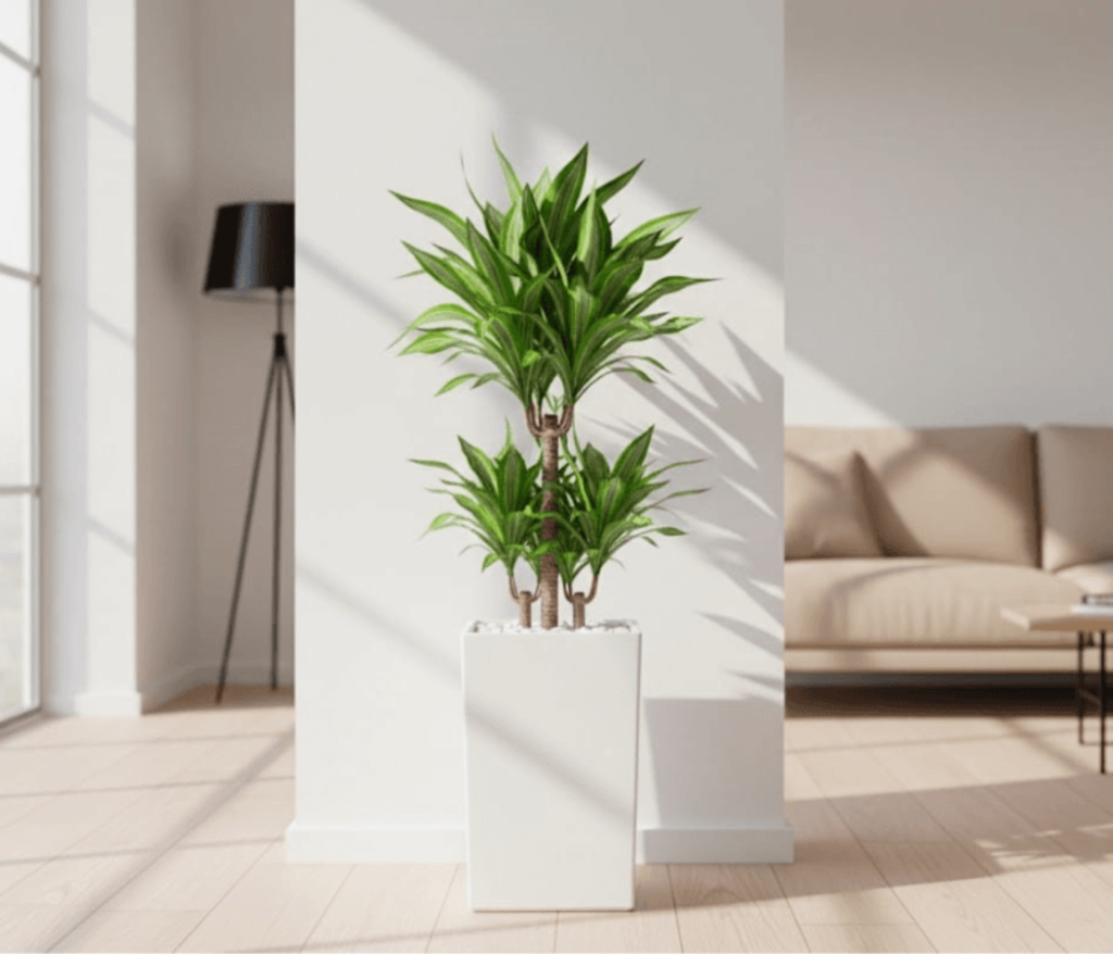 Modernūs betoniniai vazonai vidaus interjere