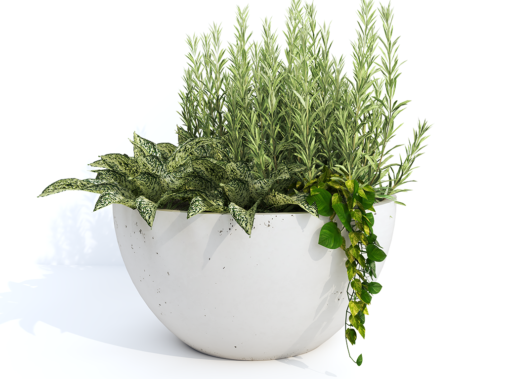 Betoninis vazonas tera