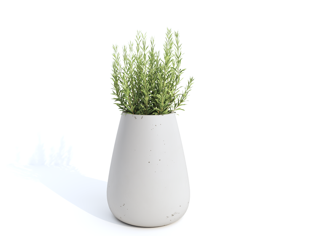 Runa Cone betono vazonas