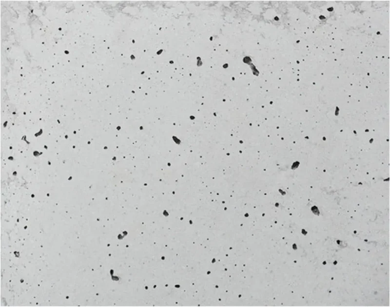 pilka vazonų spalva